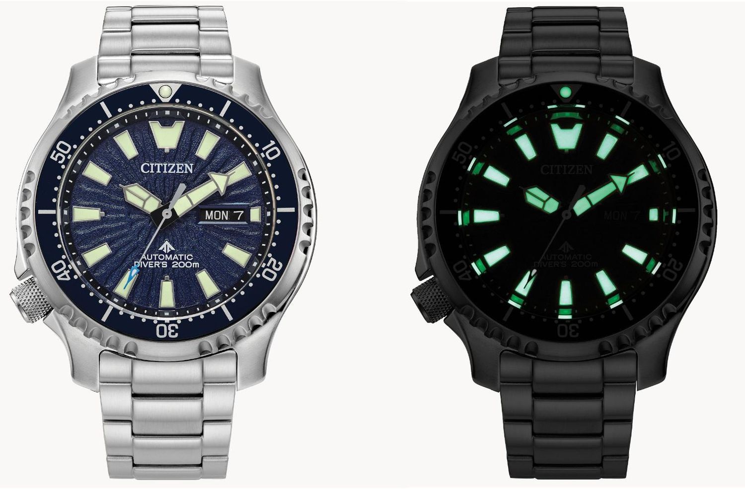 Citizen Watch Promaster Dive